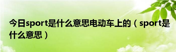 今日sport是什么意思电动车上的（sport是什么意思）