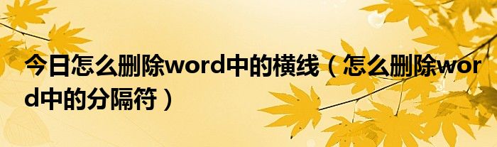 今日怎么删除word中的横线（怎么删除word中的分隔符）