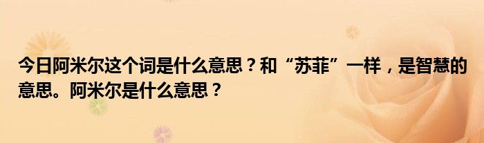 今日阿米尔这个词是什么意思？和“苏菲”一样，是智慧的意思。阿米尔是什么意思？