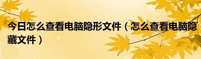 今日怎么查看电脑隐形文件（怎么查看电脑隐藏文件）