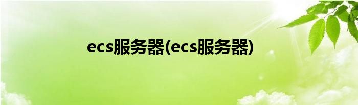 ecs服务器(ecs服务器)