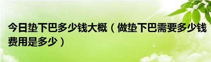 今日垫下巴多少钱大概（做垫下巴需要多少钱费用是多少）