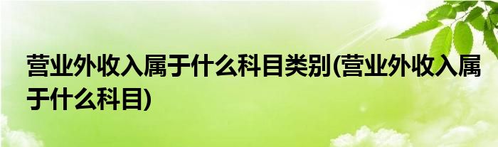 营业外收入属于什么科目类别(营业外收入属于什么科目)