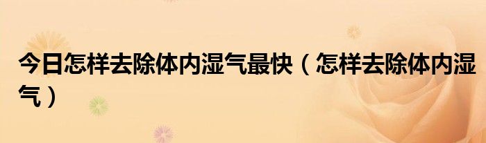 今日怎样去除体内湿气最快（怎样去除体内湿气）