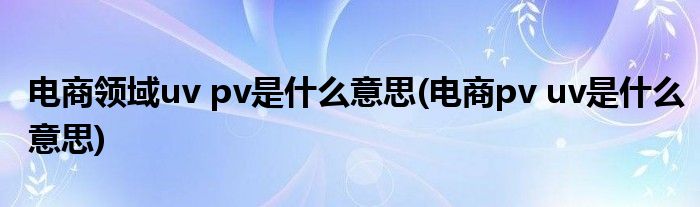 电商领域uv pv是什么意思(电商pv uv是什么意思)