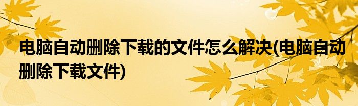 电脑自动删除下载的文件怎么解决(电脑自动删除下载文件)