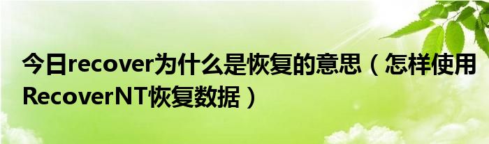 今日recover为什么是恢复的意思（怎样使用RecoverNT恢复数据）