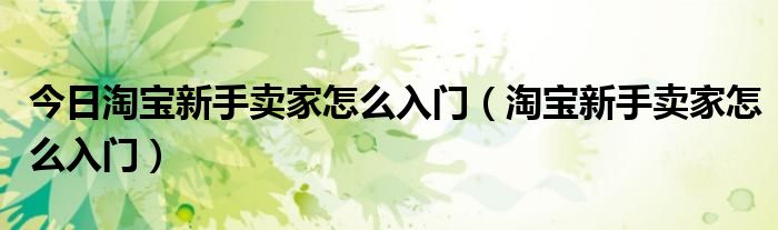 今日淘宝新手卖家怎么入门（淘宝新手卖家怎么入门）