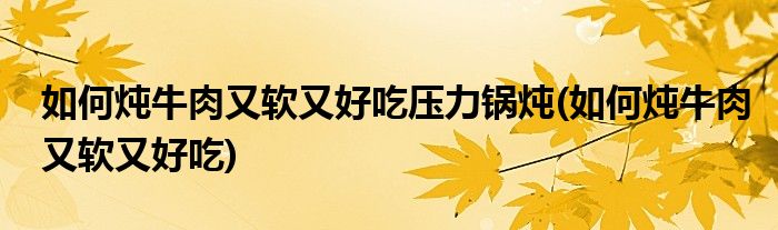 如何炖牛肉又软又好吃压力锅炖(如何炖牛肉又软又好吃)