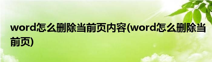 word怎么删除当前页内容(word怎么删除当前页)