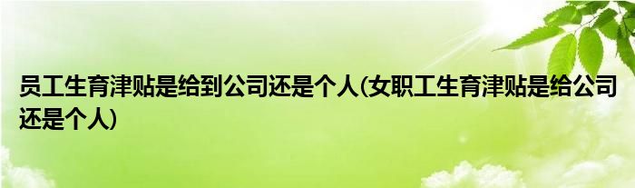 员工生育津贴是给到公司还是个人(女职工生育津贴是给公司还是个人)