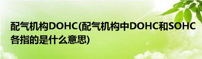 配气机构DOHC(配气机构中DOHC和SOHC各指的是什么意思)