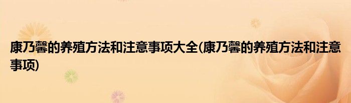 康乃馨的养殖方法和注意事项大全(康乃馨的养殖方法和注意事项)