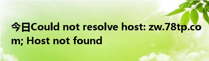 今日Could not resolve host: zw.78tp.com; Host not found