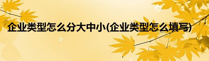 企业类型怎么分大中小(企业类型怎么填写)