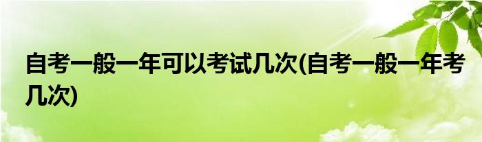 自考一般一年可以考试几次(自考一般一年考几次)