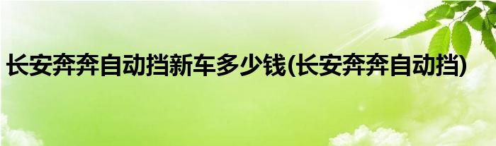 长安奔奔自动挡新车多少钱(长安奔奔自动挡)