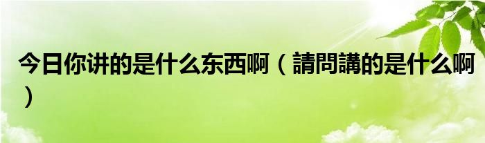 今日你讲的是什么东西啊（請問講的是什么啊）