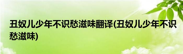 丑奴儿少年不识愁滋味翻译(丑奴儿少年不识愁滋味)