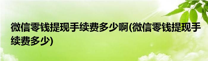 微信零钱提现手续费多少啊(微信零钱提现手续费多少)