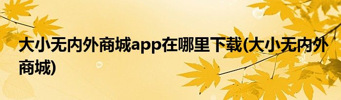 大小无内外商城app在哪里下载(大小无内外商城)