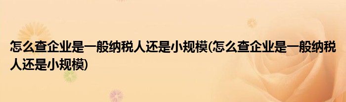 怎么查企业是一般纳税人还是小规模(怎么查企业是一般纳税人还是小规模)