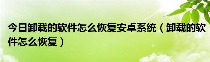 今日卸载的软件怎么恢复安卓系统（卸载的软件怎么恢复）