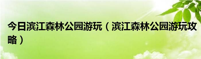 今日滨江森林公园游玩（滨江森林公园游玩攻略）