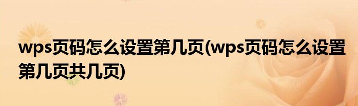 wps页码怎么设置第几页(wps页码怎么设置第几页共几页)