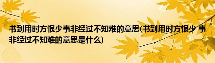 书到用时方恨少事非经过不知难的意思(书到用时方恨少 事非经过不知难的意思是什么)