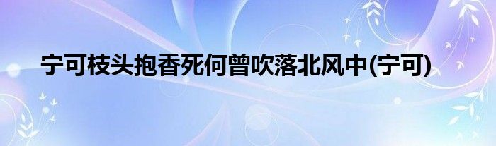 宁可枝头抱香死何曾吹落北风中(宁可)