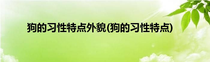 狗的习性特点外貌(狗的习性特点)