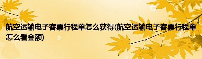 航空运输电子客票行程单怎么获得(航空运输电子客票行程单怎么看金额)