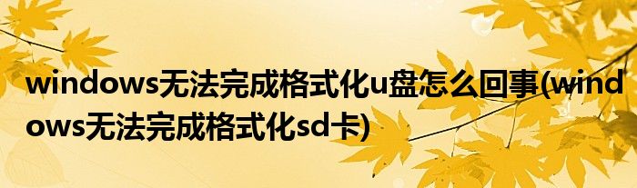 windows无法完成格式化u盘怎么回事(windows无法完成格式化sd卡)