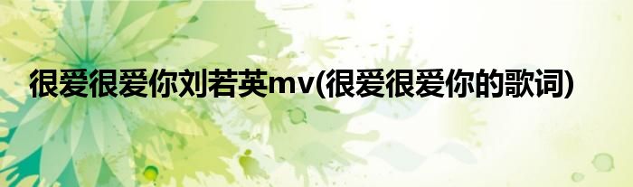 很爱很爱你刘若英mv(很爱很爱你的歌词)