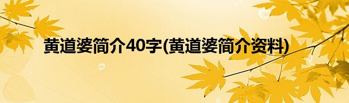 黄道婆简介40字(黄道婆简介资料)