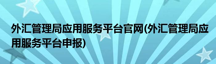 外汇管理局应用服务平台官网(外汇管理局应用服务平台申报)