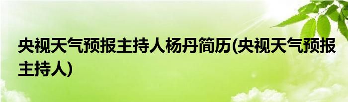 央视天气预报主持人杨丹简历(央视天气预报主持人)