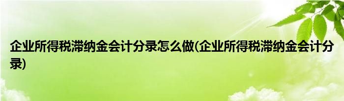 企业所得税滞纳金会计分录怎么做(企业所得税滞纳金会计分录)