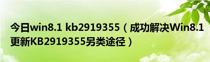 今日win8.1 kb2919355（成功解决Win8.1更新KB2919355另类途径）