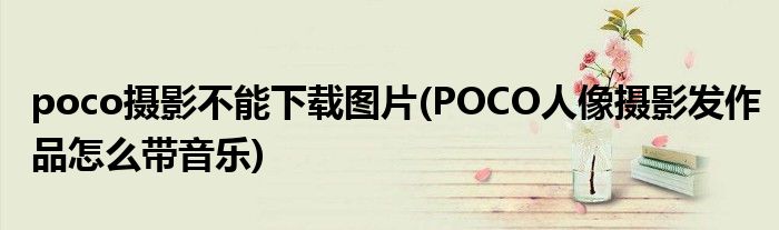 poco摄影不能下载图片(POCO人像摄影发作品怎么带音乐)