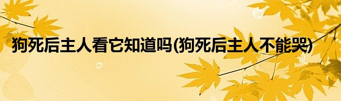 狗死后主人看它知道吗(狗死后主人不能哭)