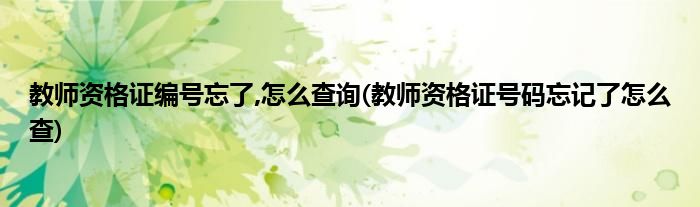 教师资格证编号忘了,怎么查询(教师资格证号码忘记了怎么查)