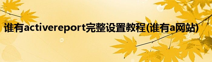 谁有activereport完整设置教程(谁有a网站)