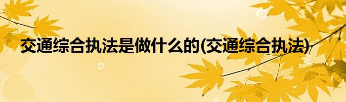 交通综合执法是做什么的(交通综合执法)