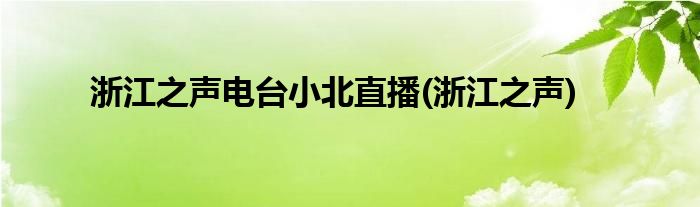 浙江之声电台小北直播(浙江之声)