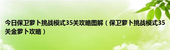 今日保卫萝卜挑战模式35关攻略图解（保卫萝卜挑战模式35关金萝卜攻略）