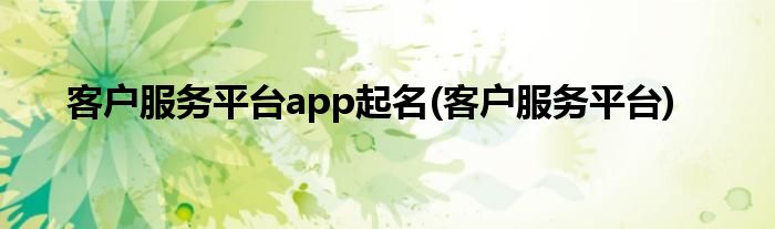 客户服务平台app起名(客户服务平台)