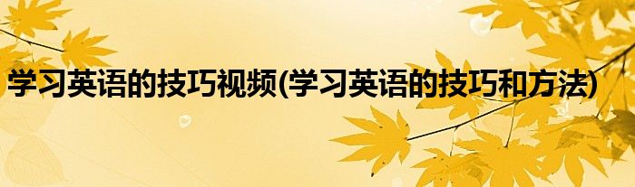 学习英语的技巧视频(学习英语的技巧和方法)