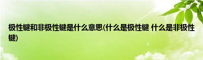 极性键和非极性键是什么意思(什么是极性键 什么是非极性键)